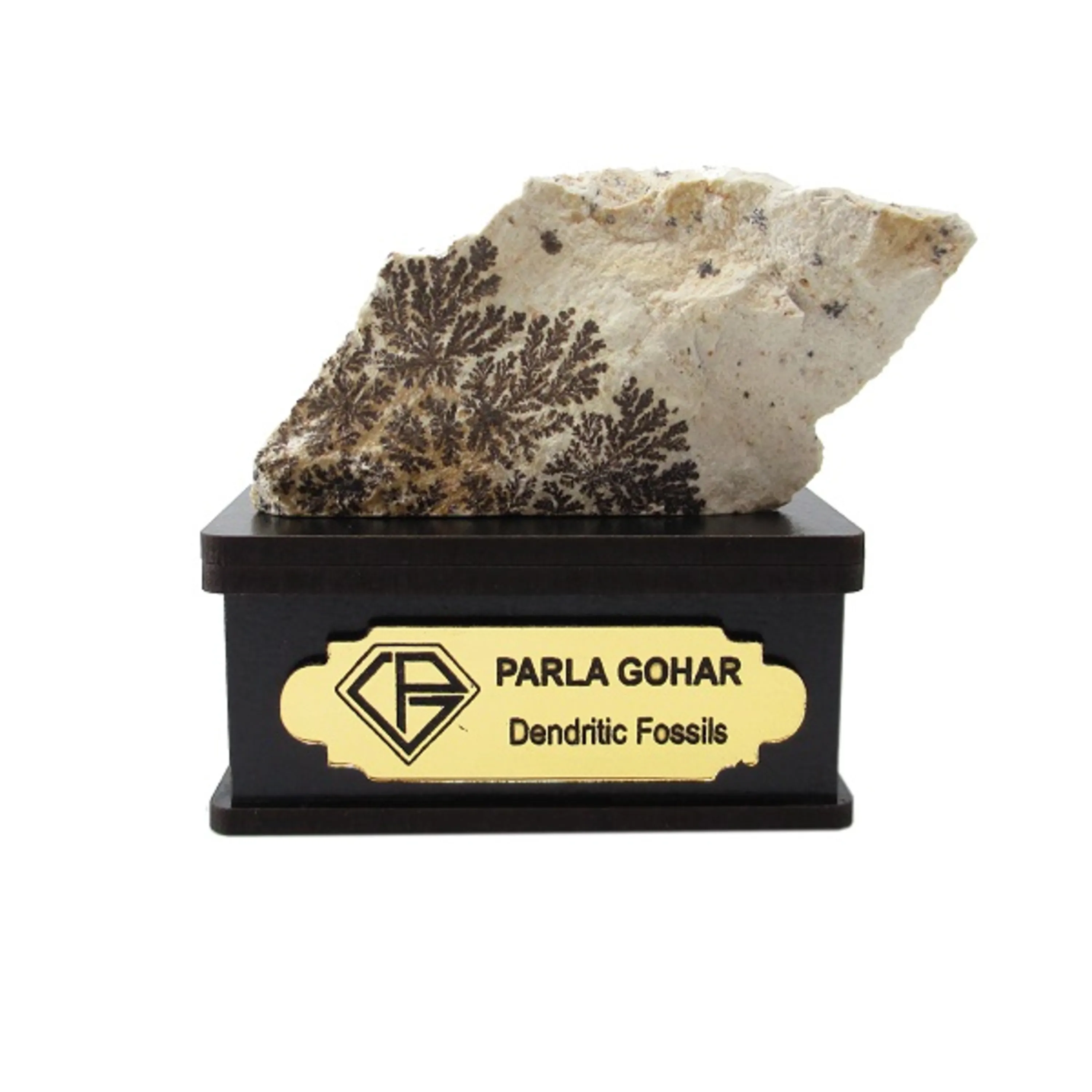 سنگ شجر فسیلی (دندریتی ) کد 2206